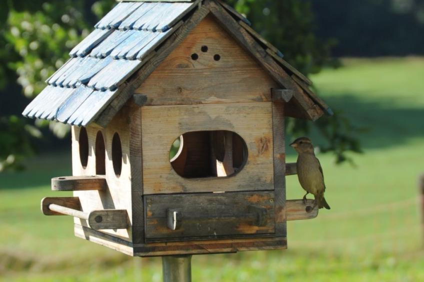 Kellerstöckl am veganen Bio-Lebenshof - Varm - the vegan Farm - foto 26