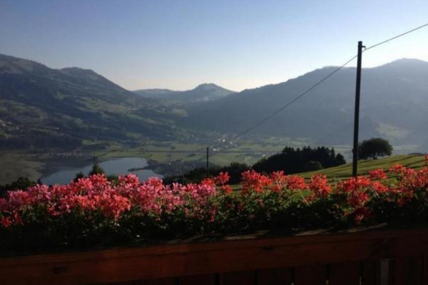 Guntern in Lauerz - foto 2