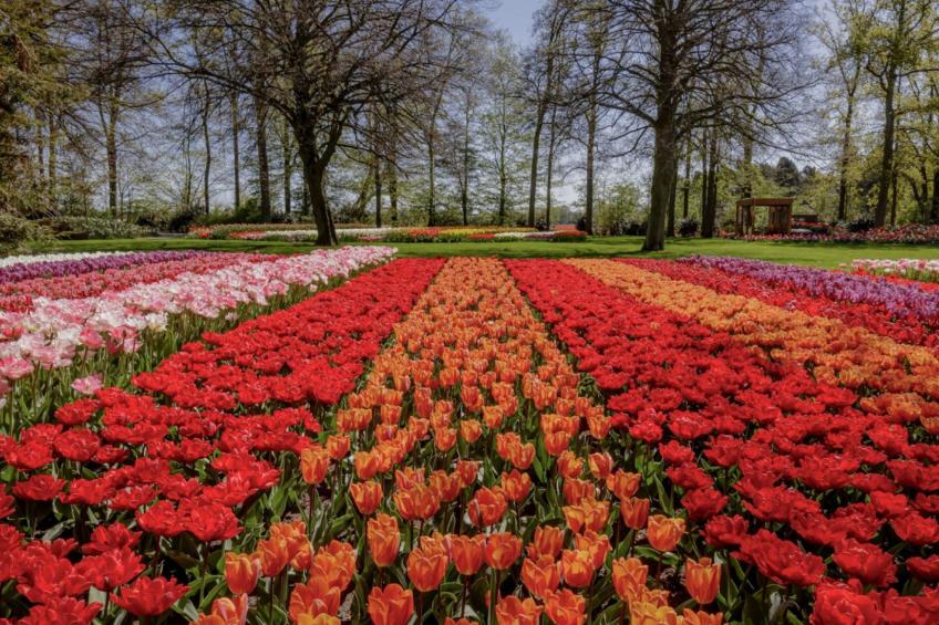 Bloem 'n Zee - foto 3