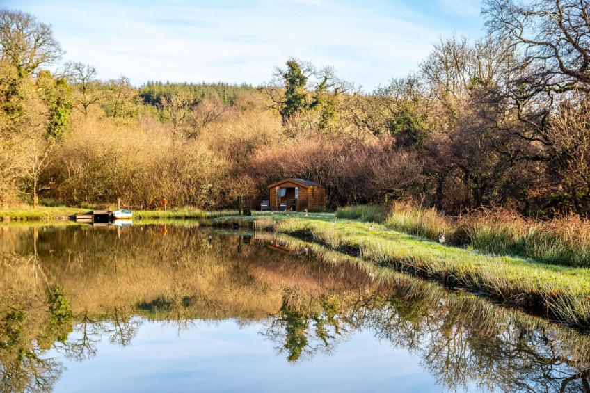 Yeworthy Eco-Treehouse - foto 16