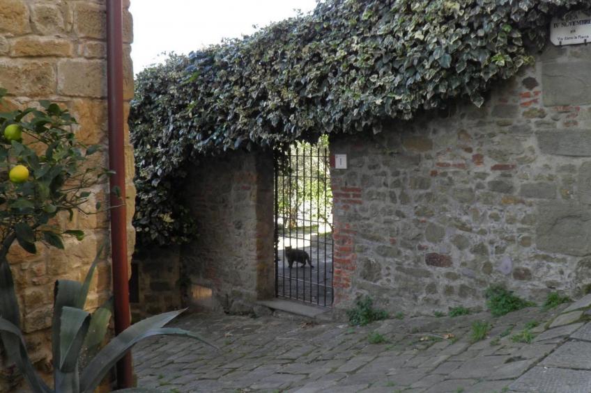 wohnung "Il Cedro" Penthouse mit Aussicht - foto 32