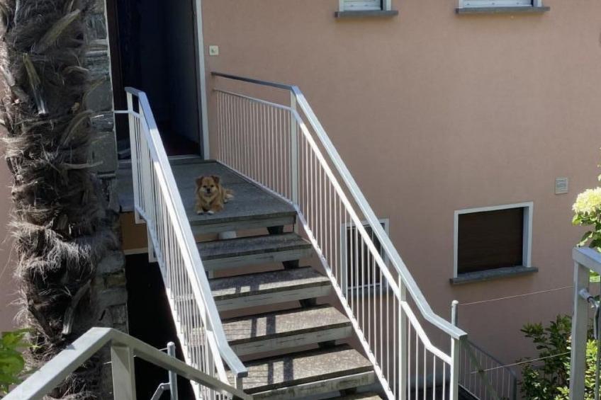 Panoramawohnung Orselina Locarno - foto 18