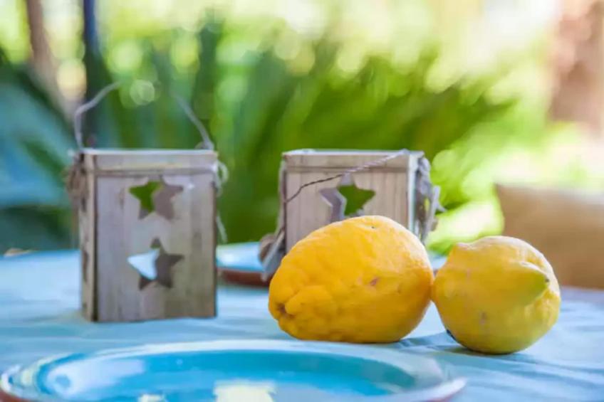 Can Pina - Eco Arco - - foto 29