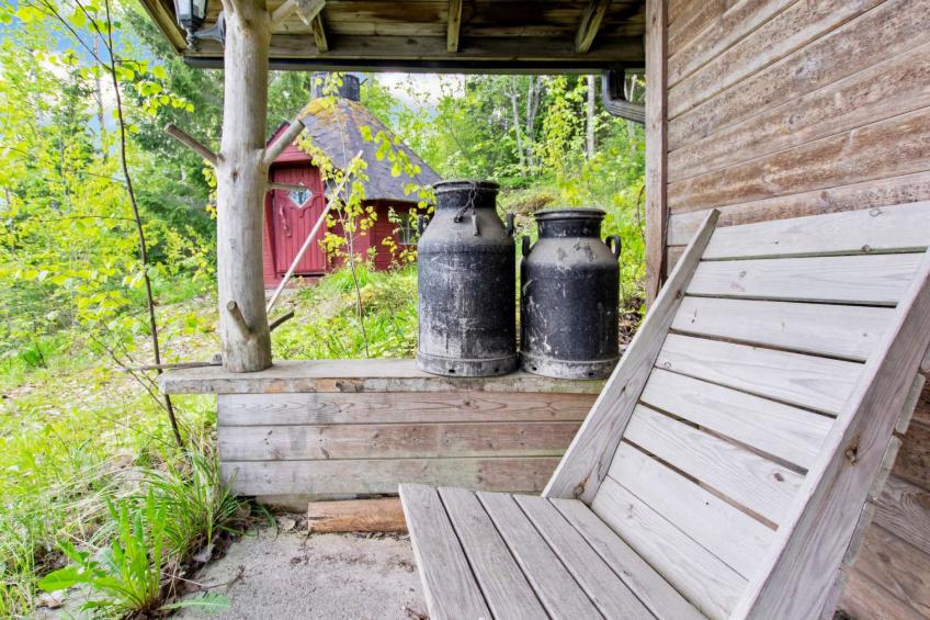 Heinäsorsa - foto 23