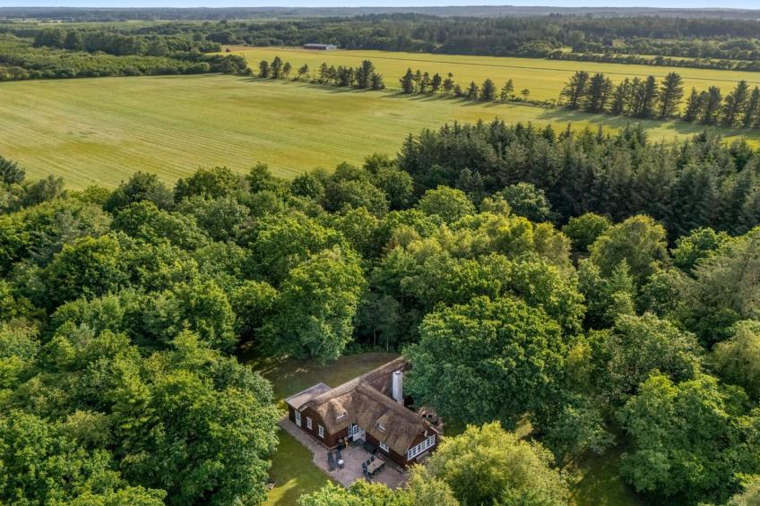 "Fina" - 15km from the sea in Western Jutland - foto 2