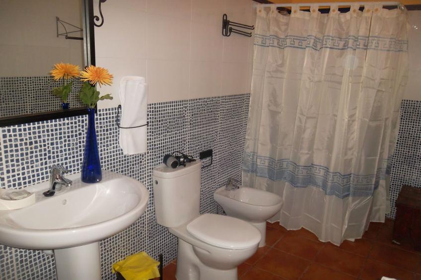 Finca mit Pool - foto 18