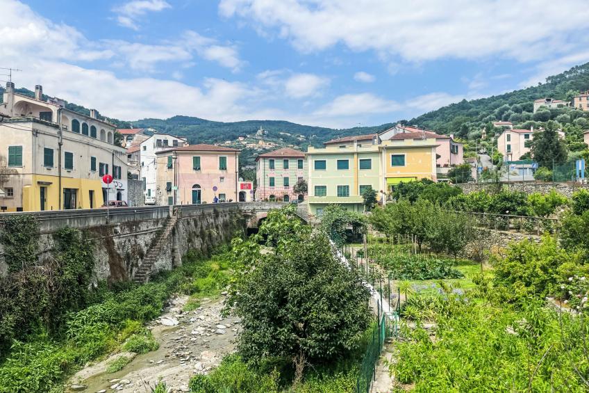 Le radici dell´ulivo - foto 31