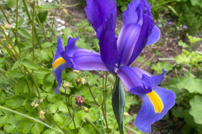 Altes Pastorenhus - foto 24