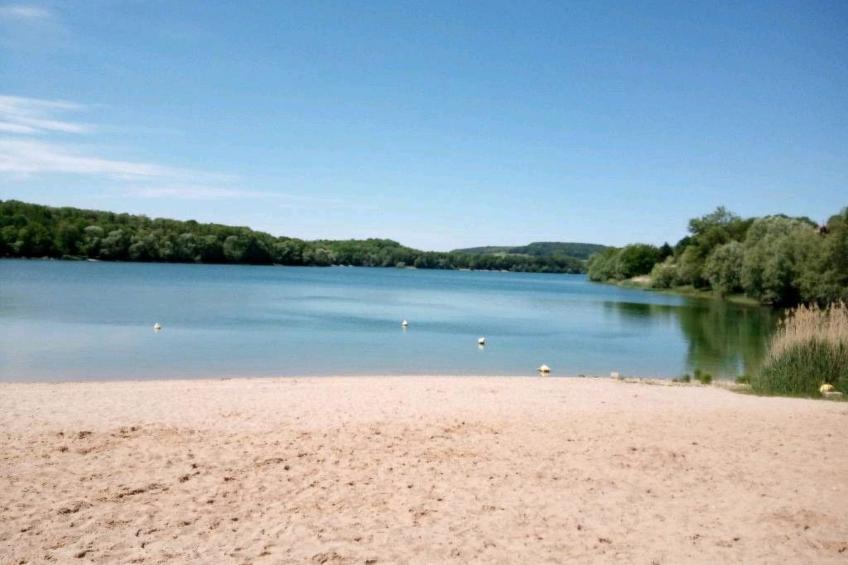 in Celles-En-Bassigny  umzäunter Garten - foto 6