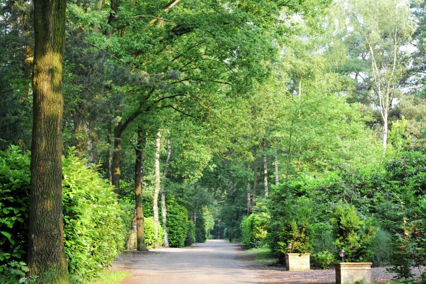 Parc de Kievit - foto 9