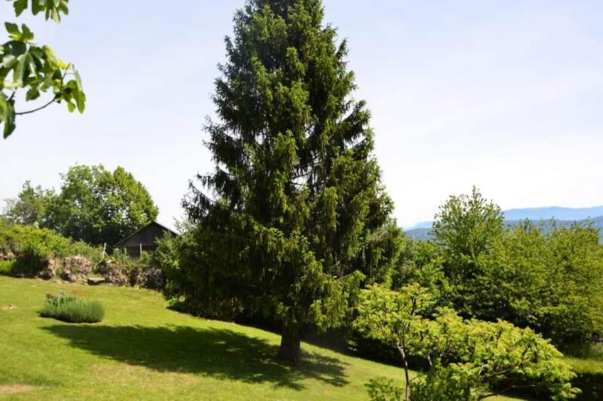 Le Petit Belvédère: Chalet Avec Piscine & Vue Lac - foto 15