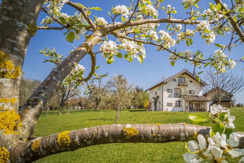 mit Blick auf das Wasser - foto 16