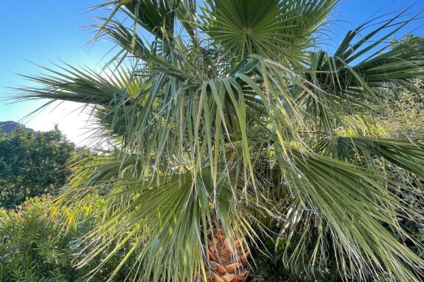 Villa St. Julian - foto 24