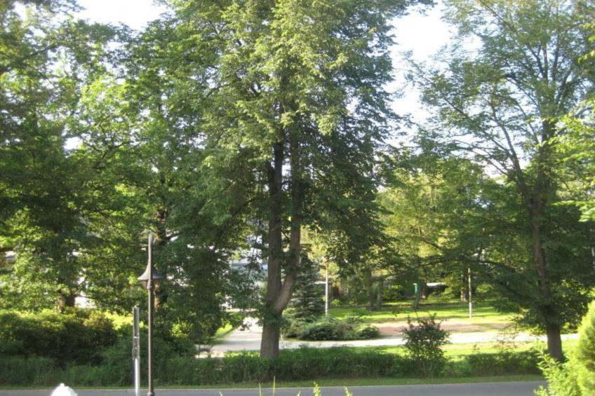 Bad Elster - foto 39