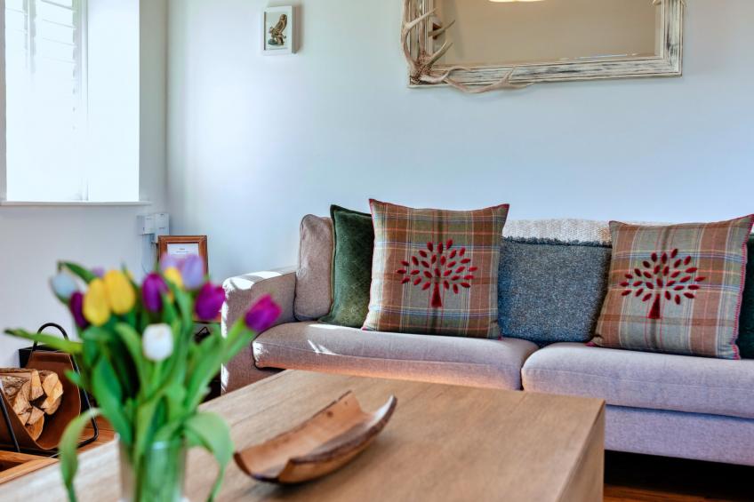 The Old School - foto 18