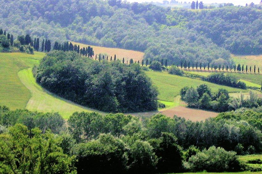 Casa Francesca 1 e 2 - foto 27