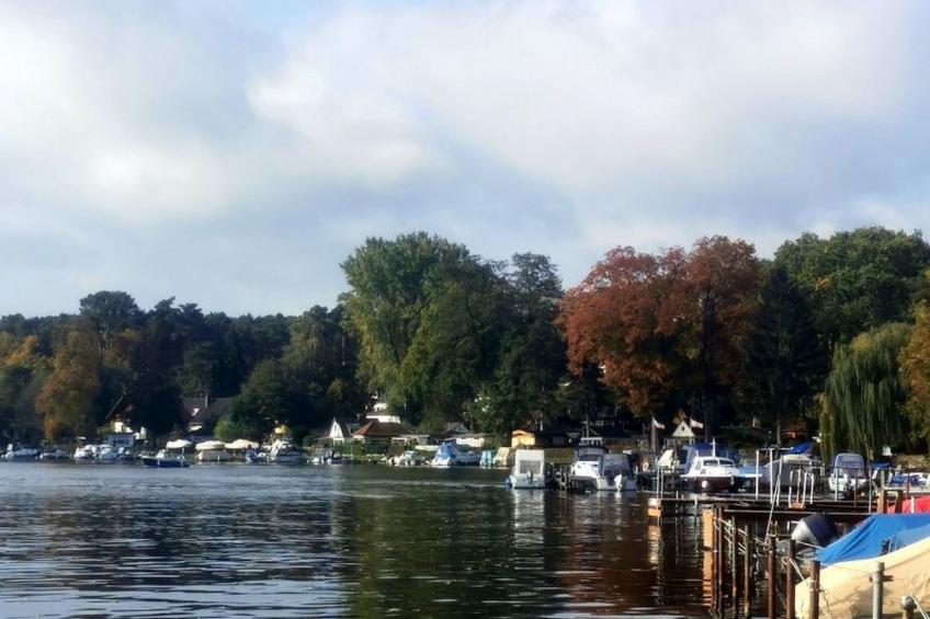 in Müggelheim mit eigener Terrasse - foto 33