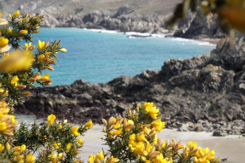 Gîte du four à pain (Unterkunft im Brotofen) - foto 19