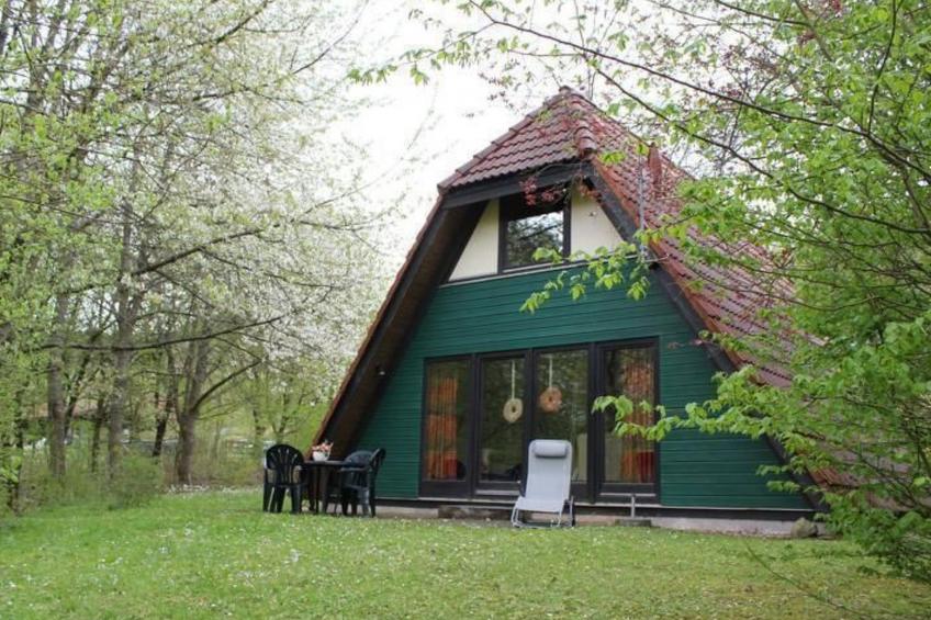 Kirschblüte - foto 2