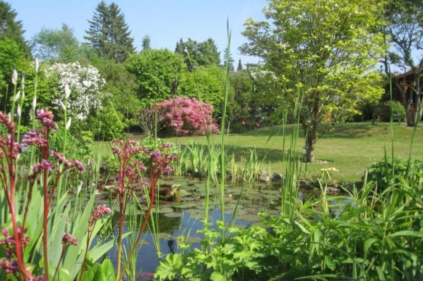 Landhaus am See - foto 3