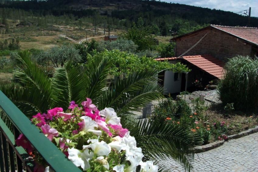 Ferien auf dem Bauernhof mit Weinberg - foto 18