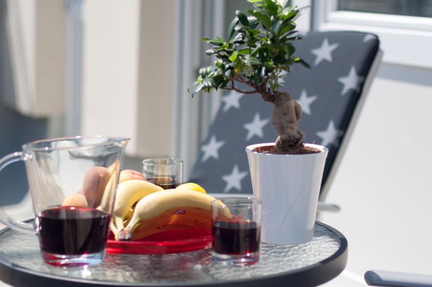 "Amanda" mit Terrasse - foto 13