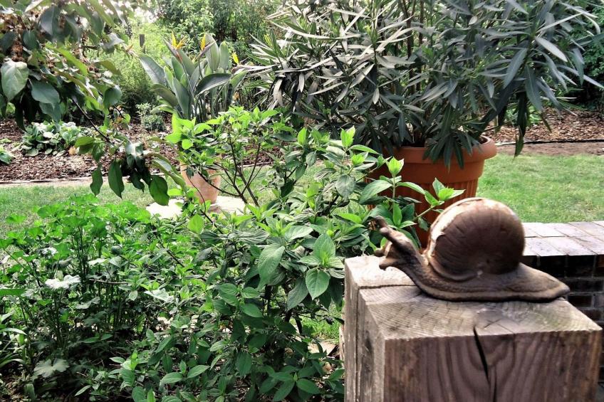 in ruhiger Lage am Waldrand - foto 17