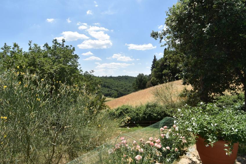 Wohnung in Bauernhaus mit großem Garten, Schwimmbad - foto 42