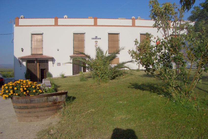 El Patriarcal - foto 22