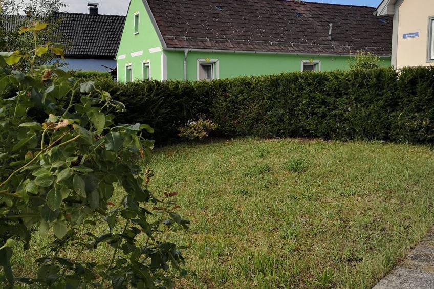 Casa Domingo - foto 15