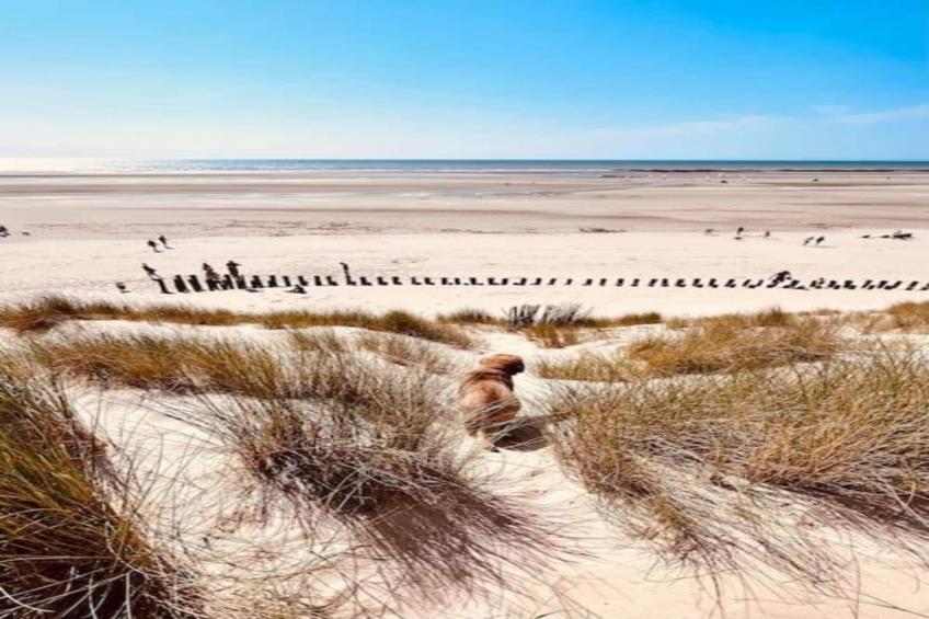 Berck sur Mer 10 - foto 38