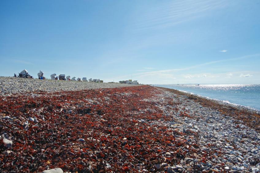 Inselresort Thor Heyerdahl - foto 27