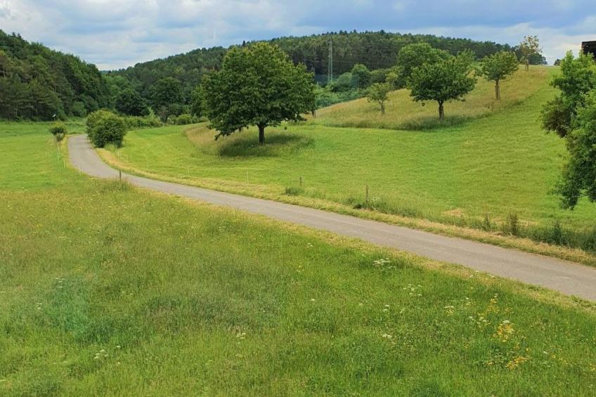 Naturblick - foto 15