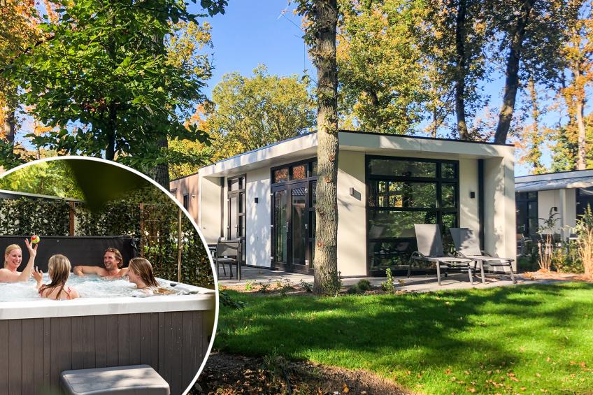 Module special 6 people Wellness