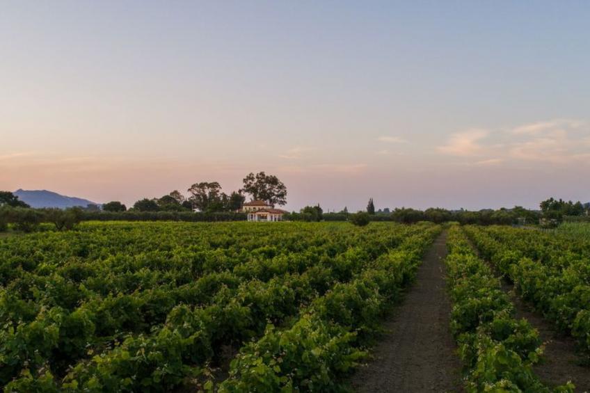 Haus in Arkadii mit Innenbalkon - foto 7