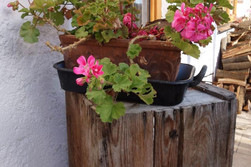 Apartment - Monteure - foto 12