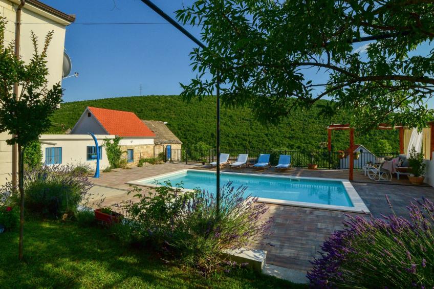 Dalmatinisches Landhaus Martin - foto 43