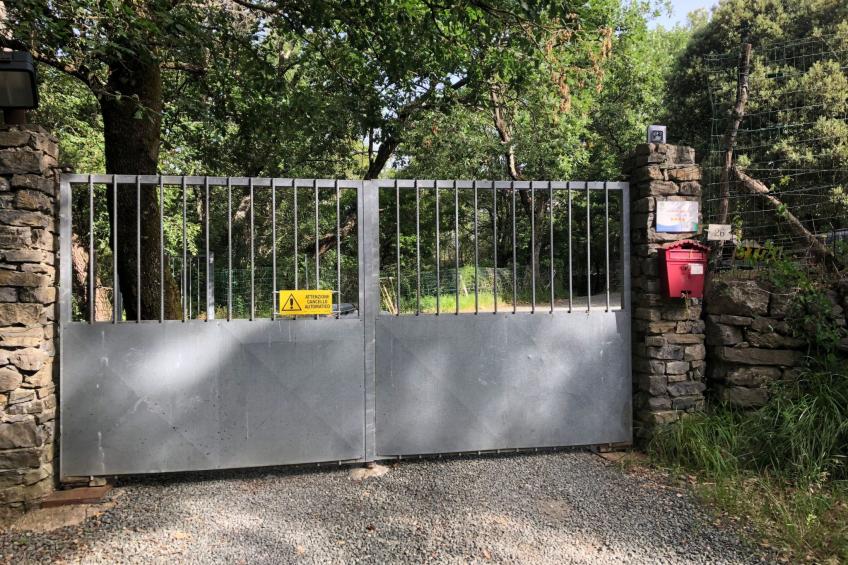 Kirschbäume, eine Oase im Wald zwischen Meer und Natur - foto 14