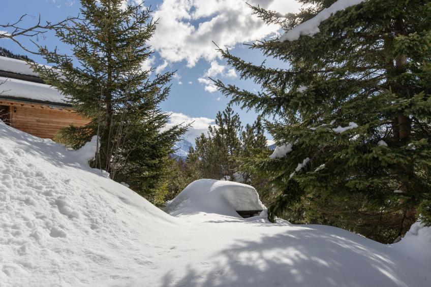 Veni, Vidi, Mansi - foto 33