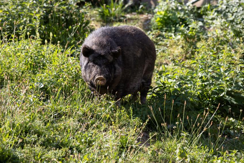 Suite Empire - foto 6