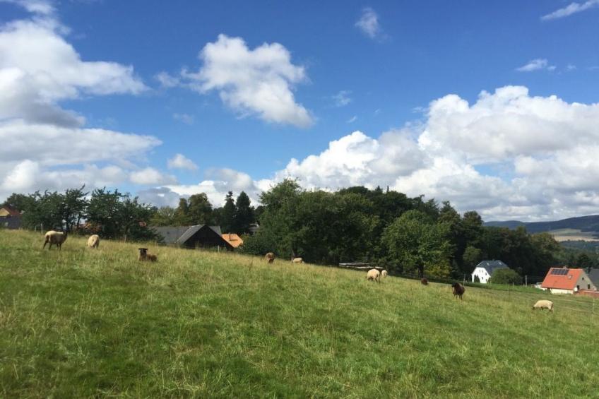 Helle und moderne Ferienwohnung mit Terrasse - foto 6
