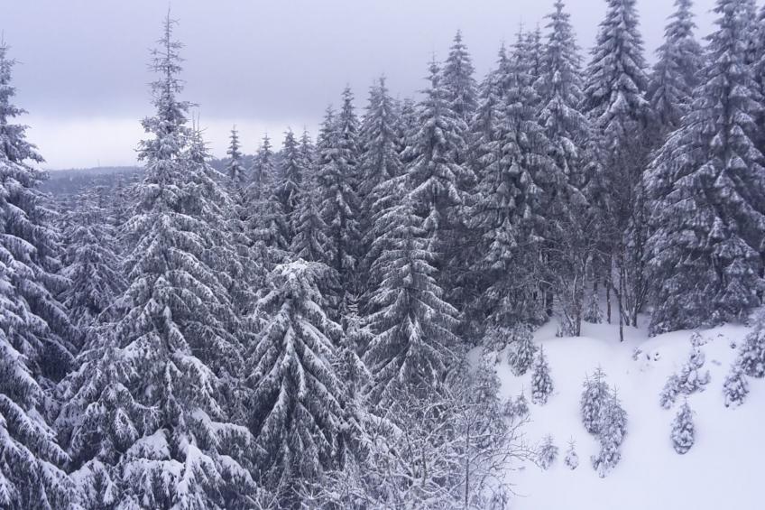 Thüringer Landhaus - foto 40