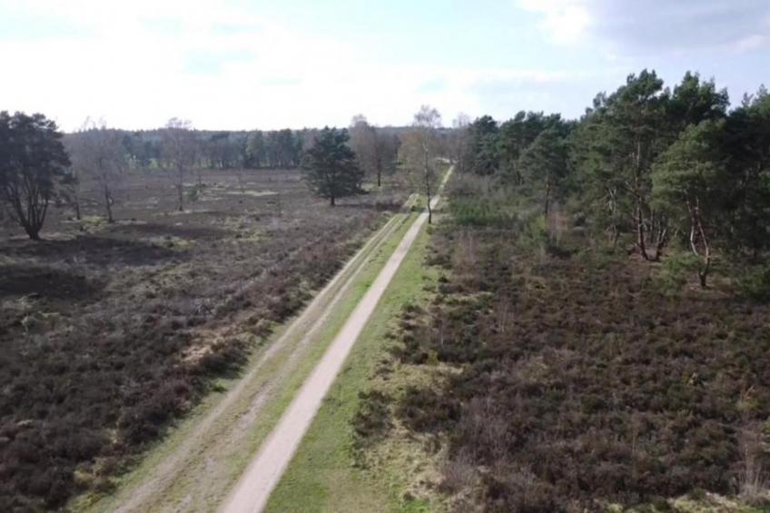 Vlindervallei Villa 8p - foto 35