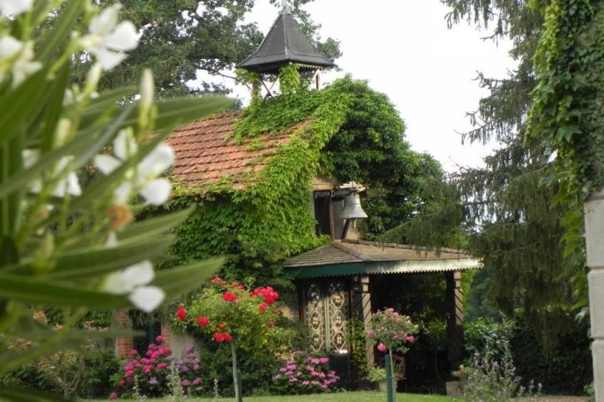 Les Belins - foto 14