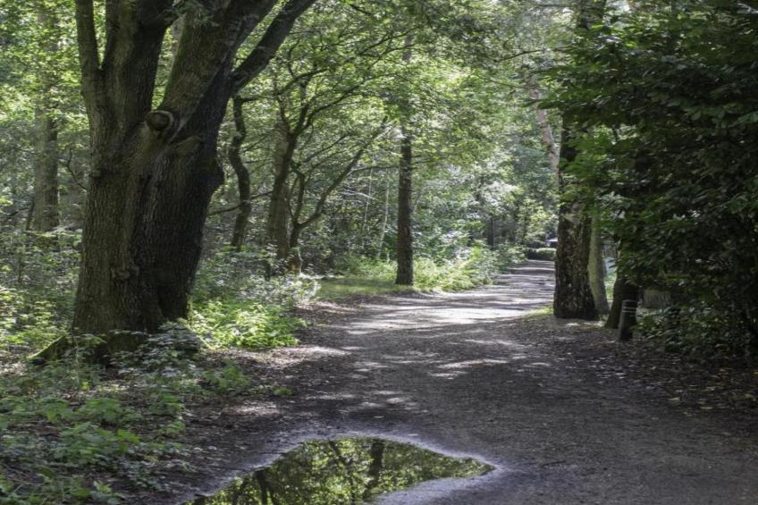 Vakantiepark Latour 2 - foto 30