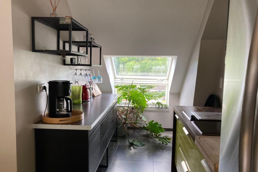 "Soleil Mapou - foto 18