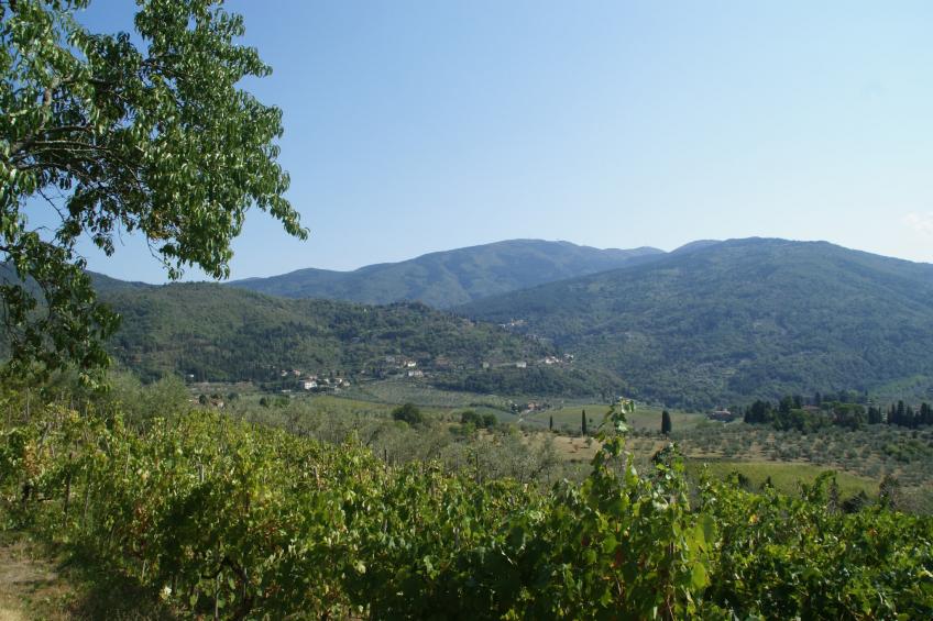 Il Ciliegio - foto 19