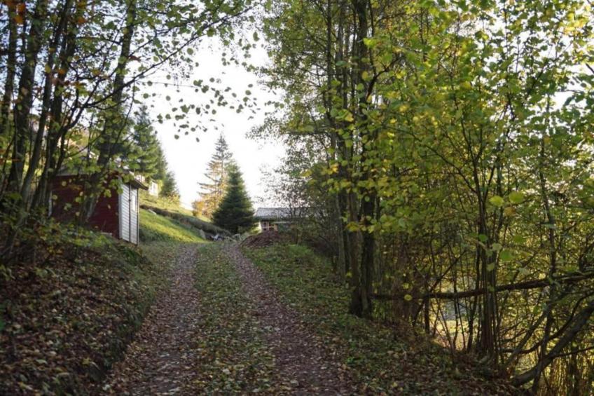 Altes Bootshaus 1 - foto 27