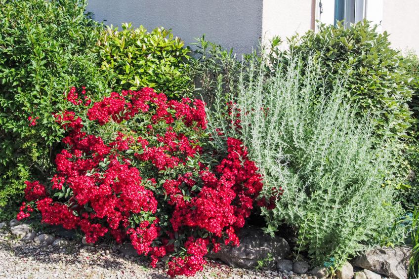 Urlaub im Süden zwischen Meer und Bergen - foto 33