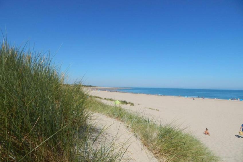 Aquadelta 31 - foto 20